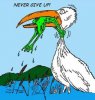 frog.jpg