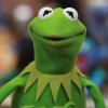 28609-kermit-the-frog.jpg