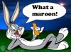 whatamaroon.jpg