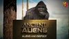 bigfoot.jpg