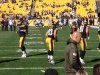 Heath Miller.jpg
