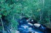 aspens-and-creek-john-vincent.jpg