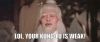 kungfu.gif