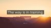 285521-Miyamoto-Musashi-Quote-The-way-is-in-training.jpg