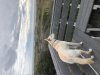 IMG_3715.jpeg