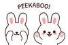 upload_2025-6-3_17-11-54.jpeg