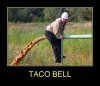 IMG_0061.jpeg