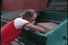 skittles-nathan-barnatt (1).gif