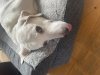 IMG_4524.jpeg