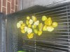 IMG_4564.jpeg