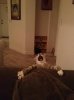 upload_2025-9-24_11-53-57.jpeg