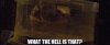 images (1).jpeg