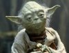 Yoda-Retina_2a7ecc26.JPG