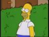 upload_2026-5-23_19-7-58.gif