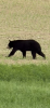 upload_2026-6-21_19-54-50.png