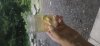upload_2026-7-21_19-46-42.jpeg