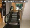 escalatedquickly.jpg