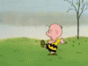 gif.gif