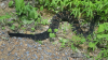 upload_2019-3-26_14-36-52.png