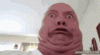 funnyface.gif
