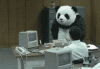 panda.gif