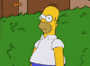 homer.gif