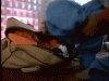 packing.gif