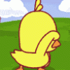 Duck1.gif