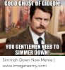 good-ghost-of-gideon-you-gentlemen-need-to-simmer-down-49541738.png