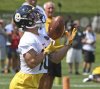 1465784_web1_gtr-steelers04-072719.jpg