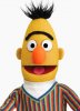 2019_Performers_SesameStreet_Bert.jpg