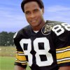 lynn_swann_1.jpg