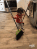 tenor-4.gif