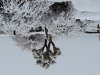 snow 12-26-19.jpg