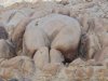 Butt Rock.JPG