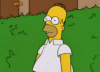 upload_2022-3-13_13-34-24.gif