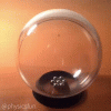 giphy-downsized-large.gif