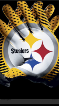 lexingtonkysteelersfan