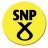 Scottish Steel