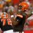 dawgpound101