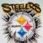 TX Steeler Fan