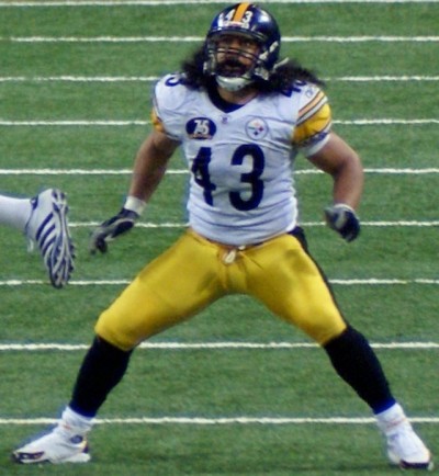 troy polamalu