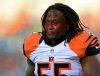 steelers-vs-bengals-memes_11.jpg