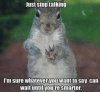 IMG_1209.jpeg