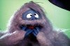 abominable snowman 2 (2015_10_20 07_52_45 UTC).jpg