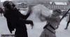 IMG_0288.gif