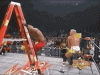 IMG_0214.gif