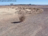 upload_2026-7-23_12-24-59.gif