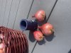 IMG_6425.jpeg