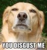 youdisgust.jpg